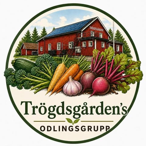 Unga som st&aring;r och sitter samlade kring ett l&aring;gt bord med post-it-lappar.